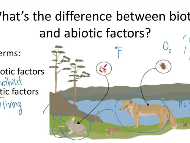 What are the abiotic and biotic factors of air pollution?