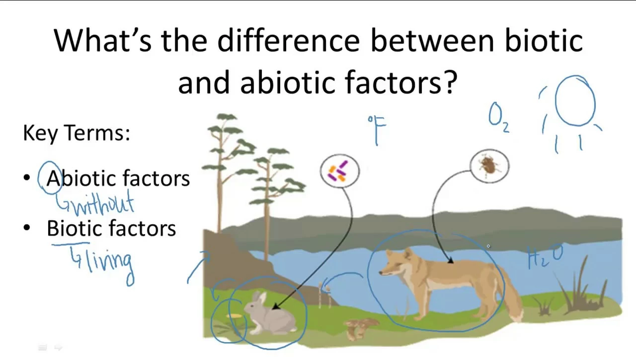 What are the abiotic and biotic factors of air pollution?